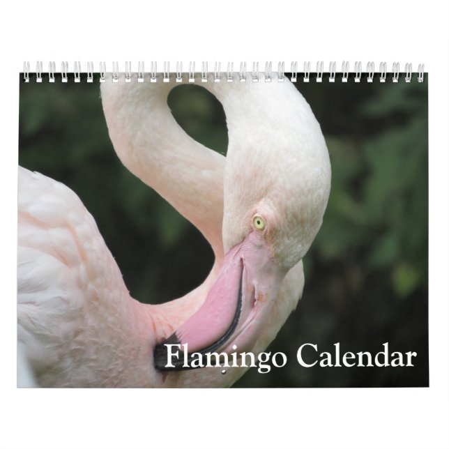 Calendrier Flamant rose 2025 (Protection)