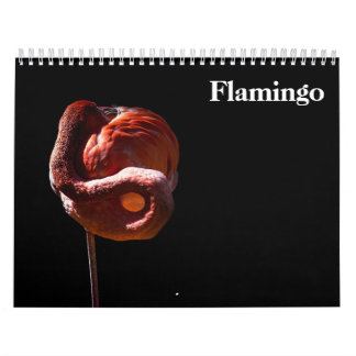 Calendrier Flamants 2027
