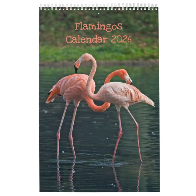 Calendrier Flamants roses (Protection)