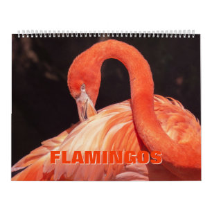 Calendrier Flamants roses