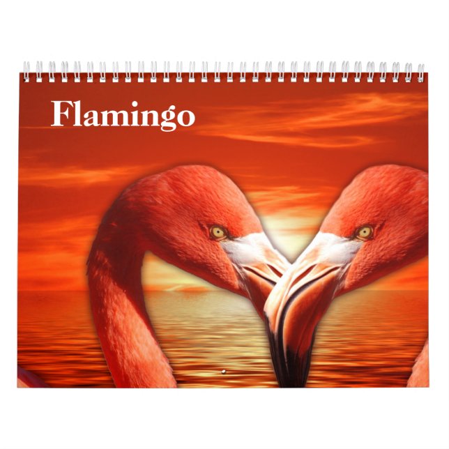 Calendrier Flamants roses 2025 (Protection)