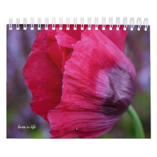 Calendrier Fleur de pavot