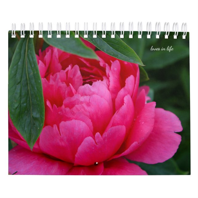 Calendrier Fleur de pivoine (Protection)