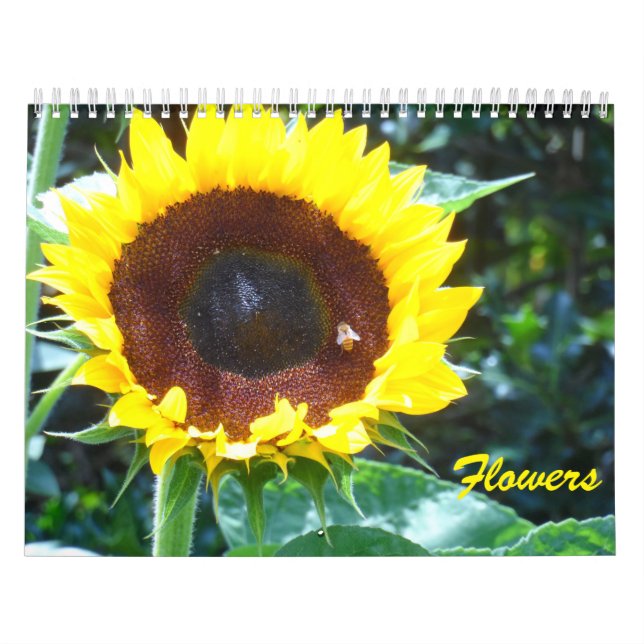 Calendrier Fleurs (Protection)