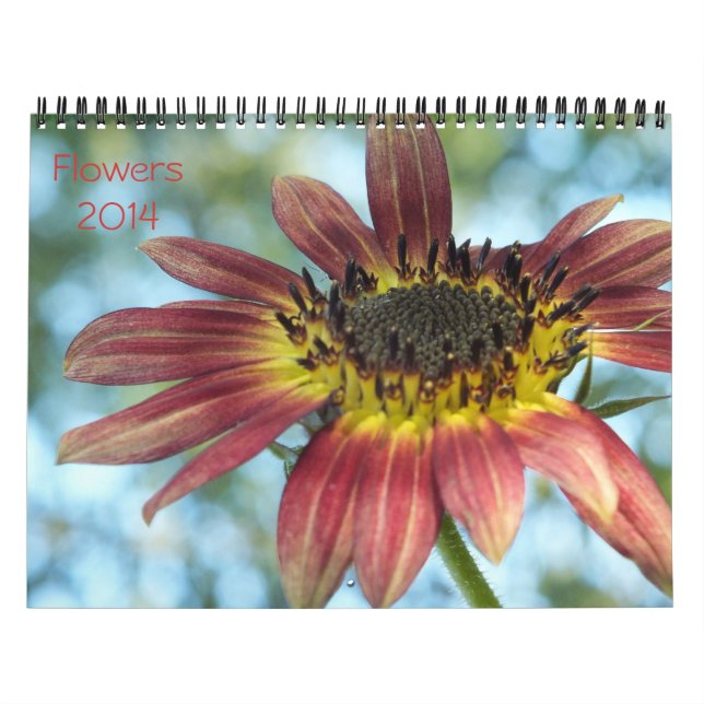 Calendrier Fleurs 2014 Calender (Protection)