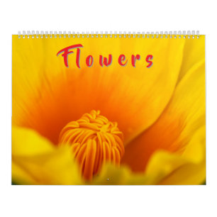 Calendrier Fleurs Colorées 