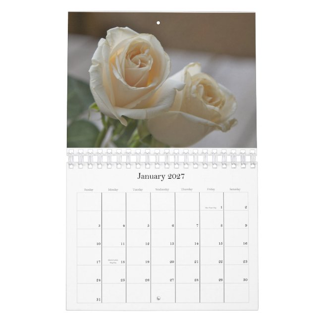 Calendrier Fleurs de Chicago, 2011 (Jan 2027)