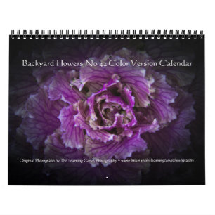 Calendrier Fleurs de jardin arrière n° 42 version couleur
