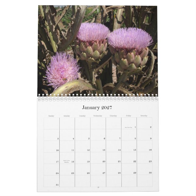 Calendrier Fleurs de la Californie du sud (Jan 2027)