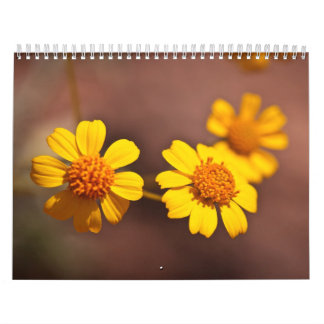 Calendrier Fleurs de l'Arizona