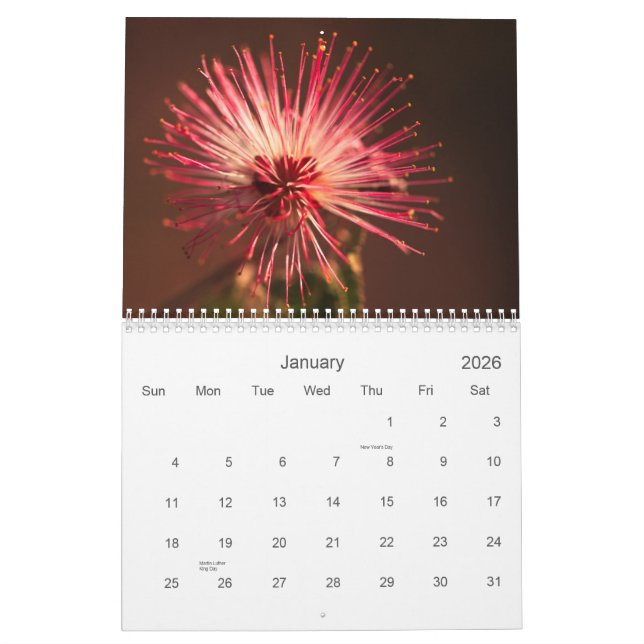 Calendrier Fleurs de l'Arizona (Jan 2026)