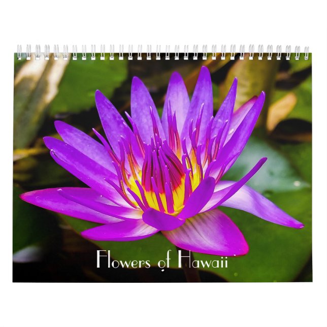 Calendrier Fleurs d'Hawaï (Protection)