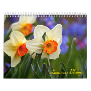 Calendrier Fleurs lumineuses