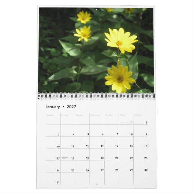 Calendrier Fleurs sauvages (Jan 2027)
