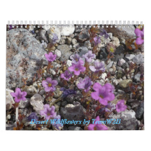 Calendrier Fleurs sauvages Calander de désert
