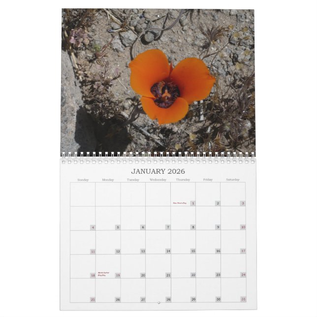 Calendrier Fleurs sauvages Calander de désert (Jan 2026)