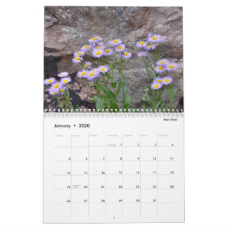 Calendrier Fleurs sauvages du Colorado