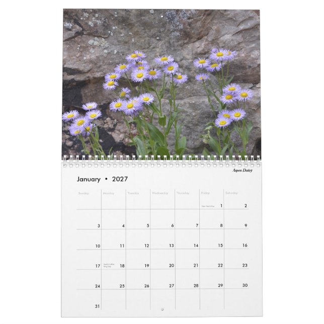 Calendrier Fleurs sauvages du Colorado (Jan 2027)