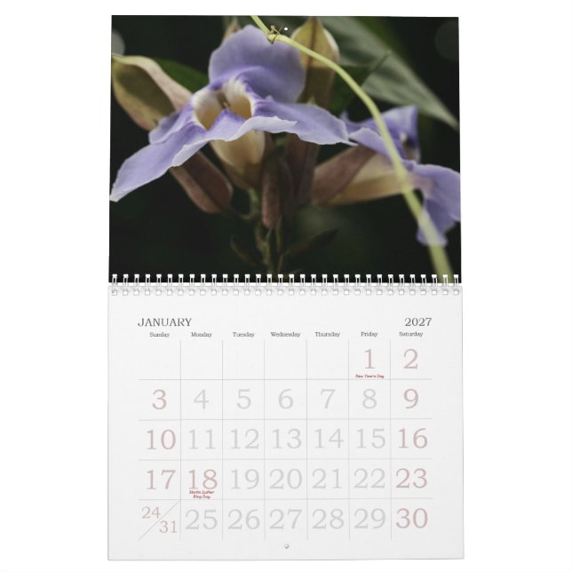 Calendrier floral (Jan 2027)
