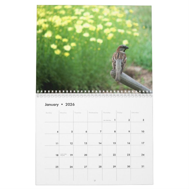 Calendrier floral 2013 : Accueil à mon jardin (Jan 2026)
