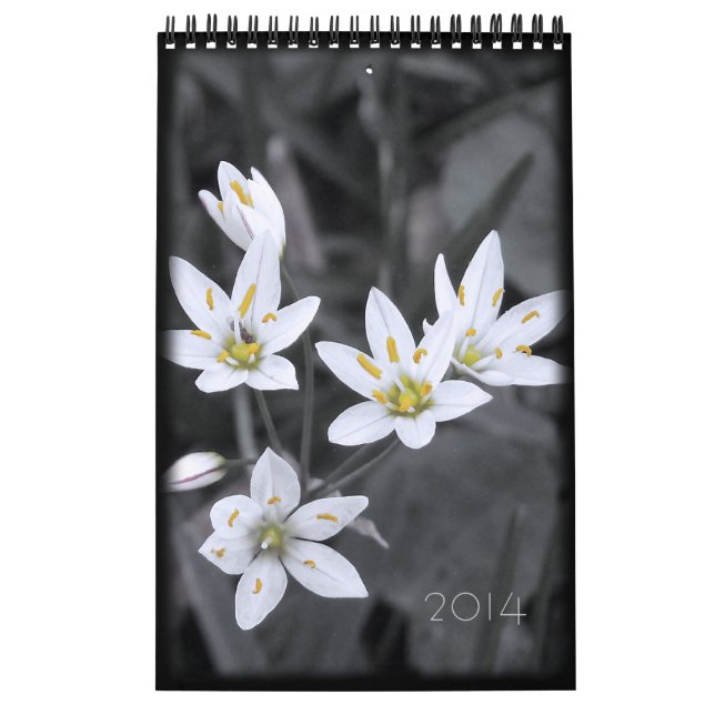 Calendrier floral 2014 12 mois d'une page (Protection)