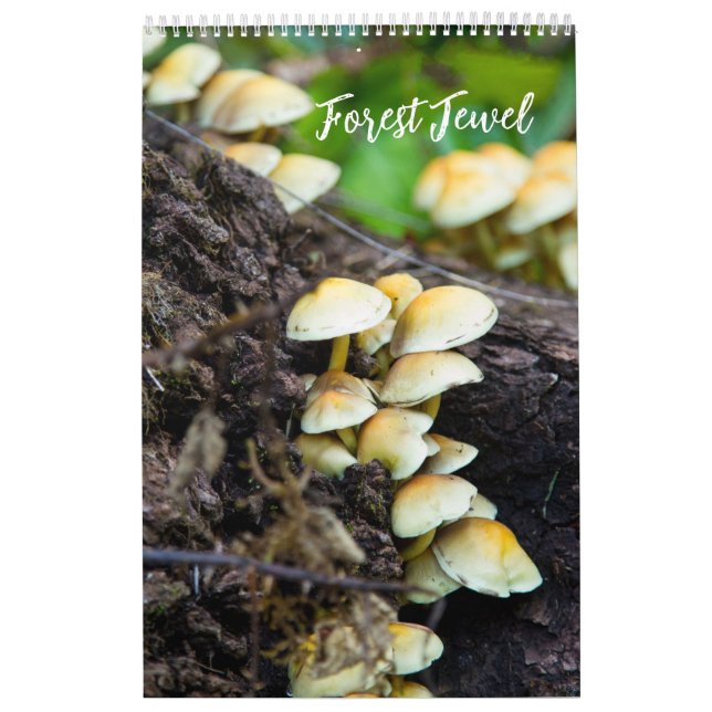 Calendrier Forest Mushrooms Calendar (Protection)