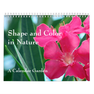 Calendrier Forme et couleur dans la nature