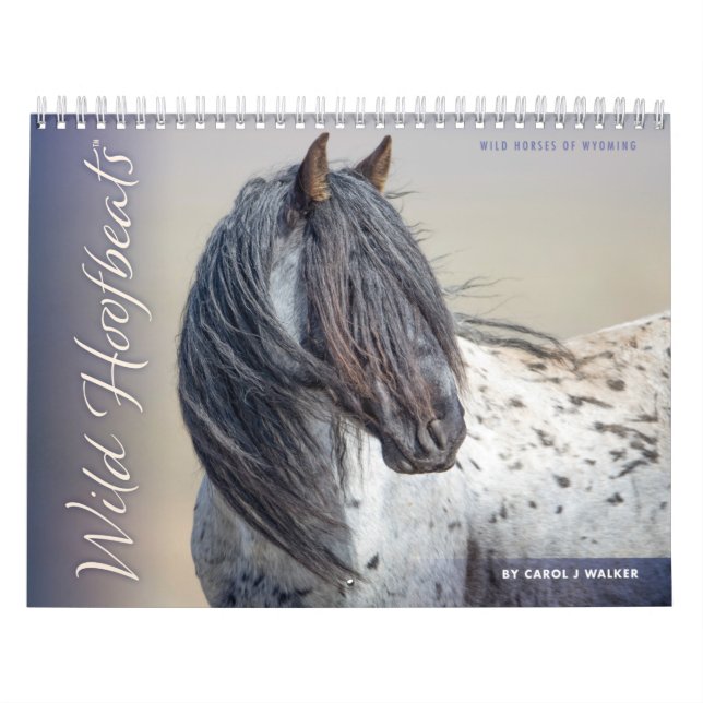 Calendrier Foutaises sauvages : Chevaux sauvages du Wyoming C (Protection)