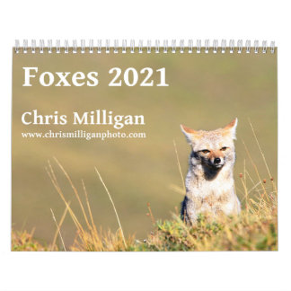 Calendrier Foxes 2021 par Chris Milligan