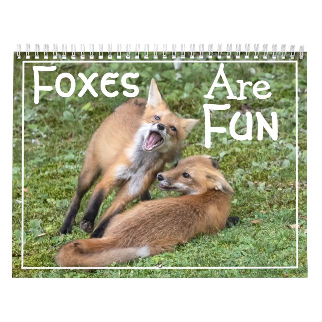 Calendrier Foxes Are Fun Calendar (Protection)