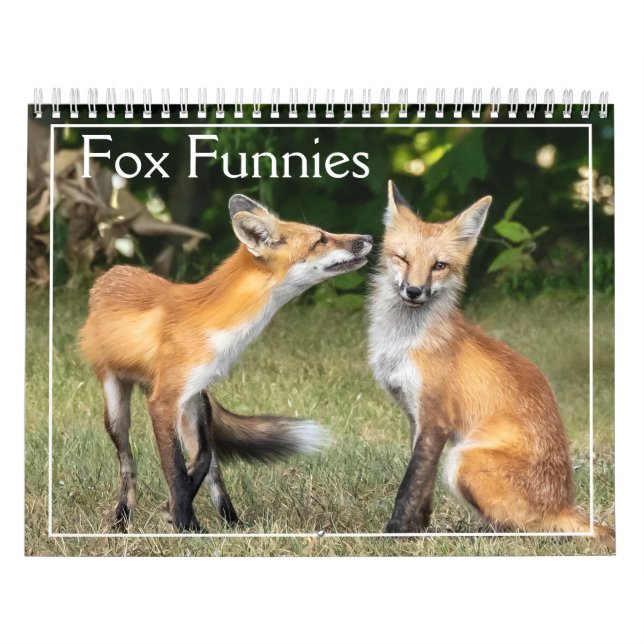 Calendrier Foxes Funnies (Protection)