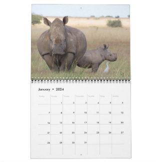 Calendrier foxy.africa