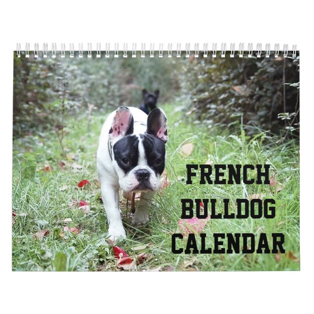 Calendrier Français Bulldog Avec Vos Photos (Protection)