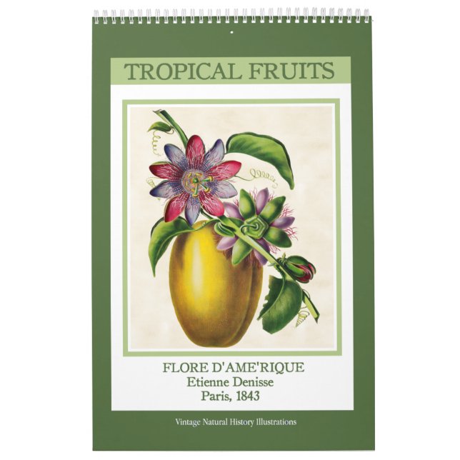 Calendrier Fruits vintages botaniques tropicaux 2026 (Protection)