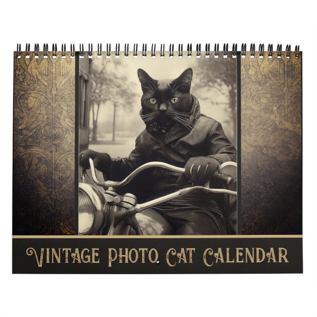 Calendrier Funny Vintage Sepia photo Black Cat (Protection)