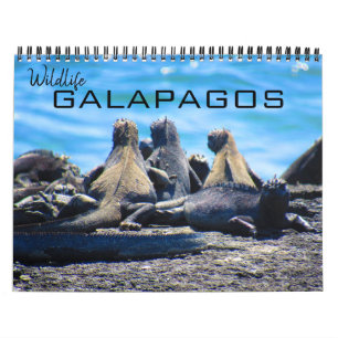 Calendrier galapagos animaux 2025