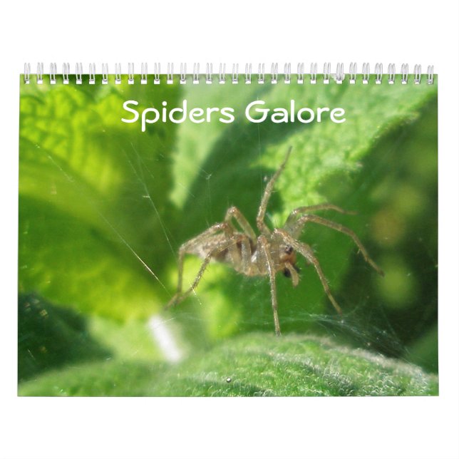 Calendrier - Galore des araignées (Protection)