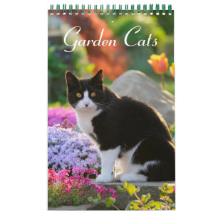 Calendrier Garden Cats - petite taille