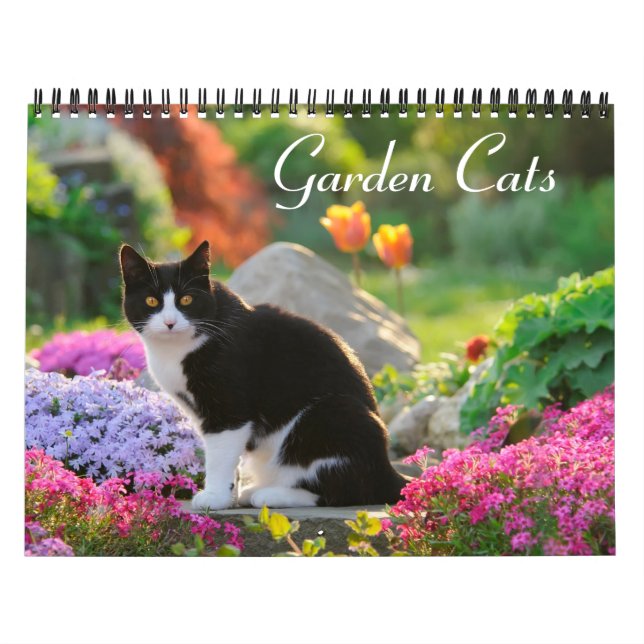 Calendrier Garden Cats - taille moyenne (Protection)