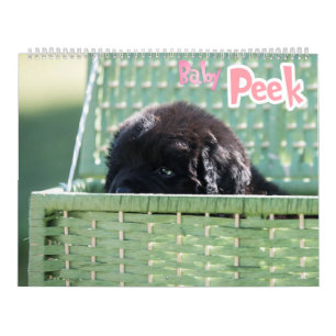 Calendrier GCH Notta soutient vexé mon intérêt