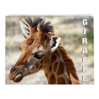 Calendrier Giraffe