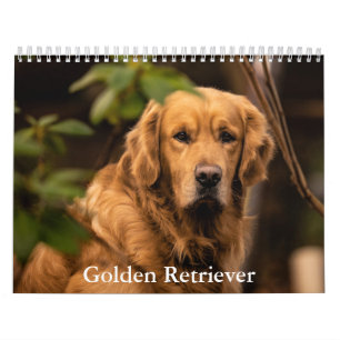 Calendrier Golden Retriever