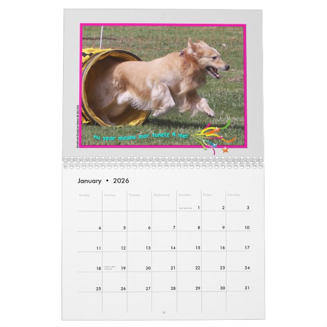 Calendrier Golden Retriever 2015 (Jan 2026)