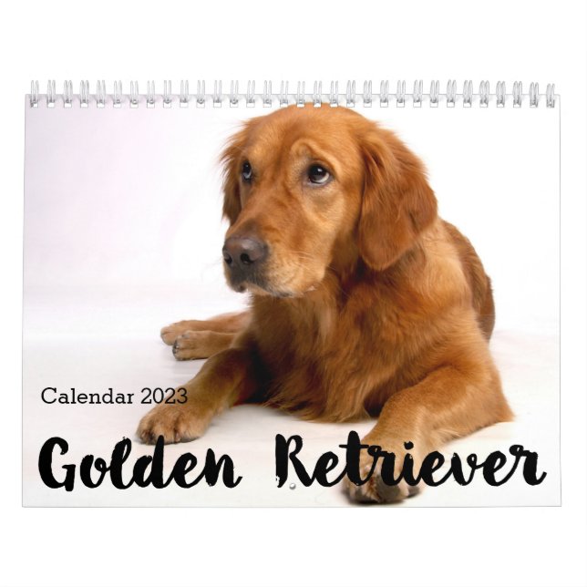 Calendrier Golden Retriever personnalisé 2023 (Protection)