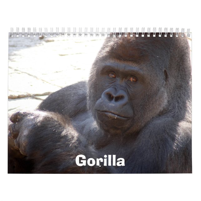 Calendrier Gorilla_004, gorille (Protection)