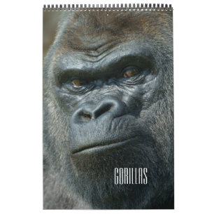 Calendrier Gorilla 2026