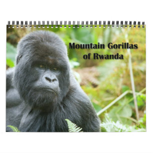 Calendrier - gorilles de montagne du Rwanda