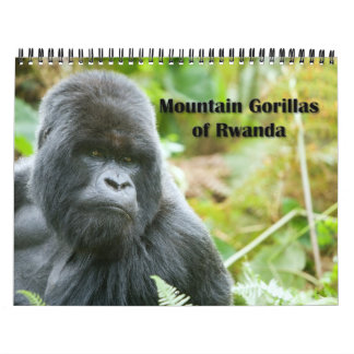 Calendrier - gorilles de montagne du Rwanda