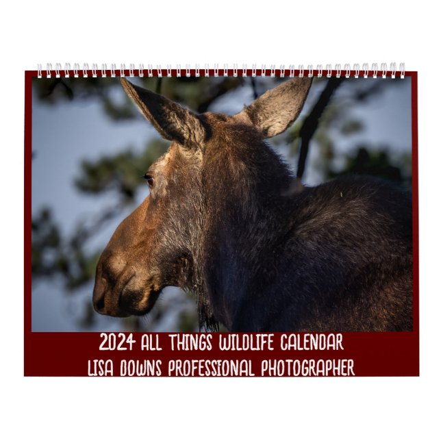 Calendrier GrandCalendrier de deux pages, blanc (Protection)