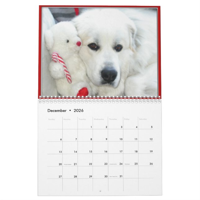 Calendrier Great Pyrenees Calendar (Dec 2026)